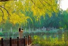 369竞彩足球比分-解锁369竞彩足球比分，洞察赛场风云，玩转智慧竞猜