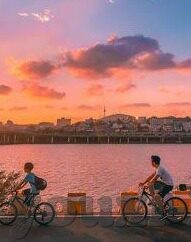 哥斯达世界杯历史-哥斯达世界杯历史，一场足球传奇的旅程