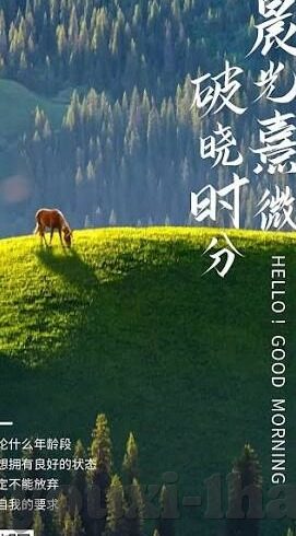 炸金花6人技巧-炸金花6人技巧，策略与心态的平衡
